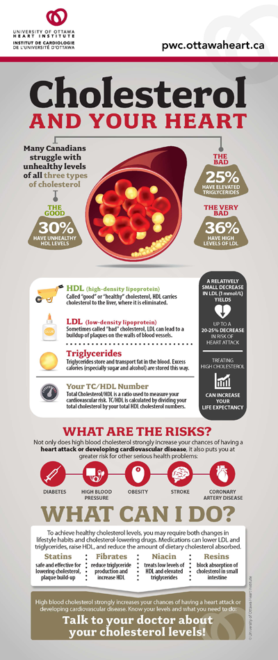 Cholesterol | University of Ottawa Heart Institute | Prevention ...